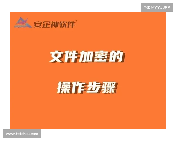 试图取消端对端加密的国家 试图取消端对端加密的国家